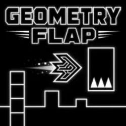 Geometry Flap